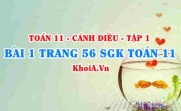 Bài 1 trang 56 SGK Toán 11 tập 1 Cánh Diều